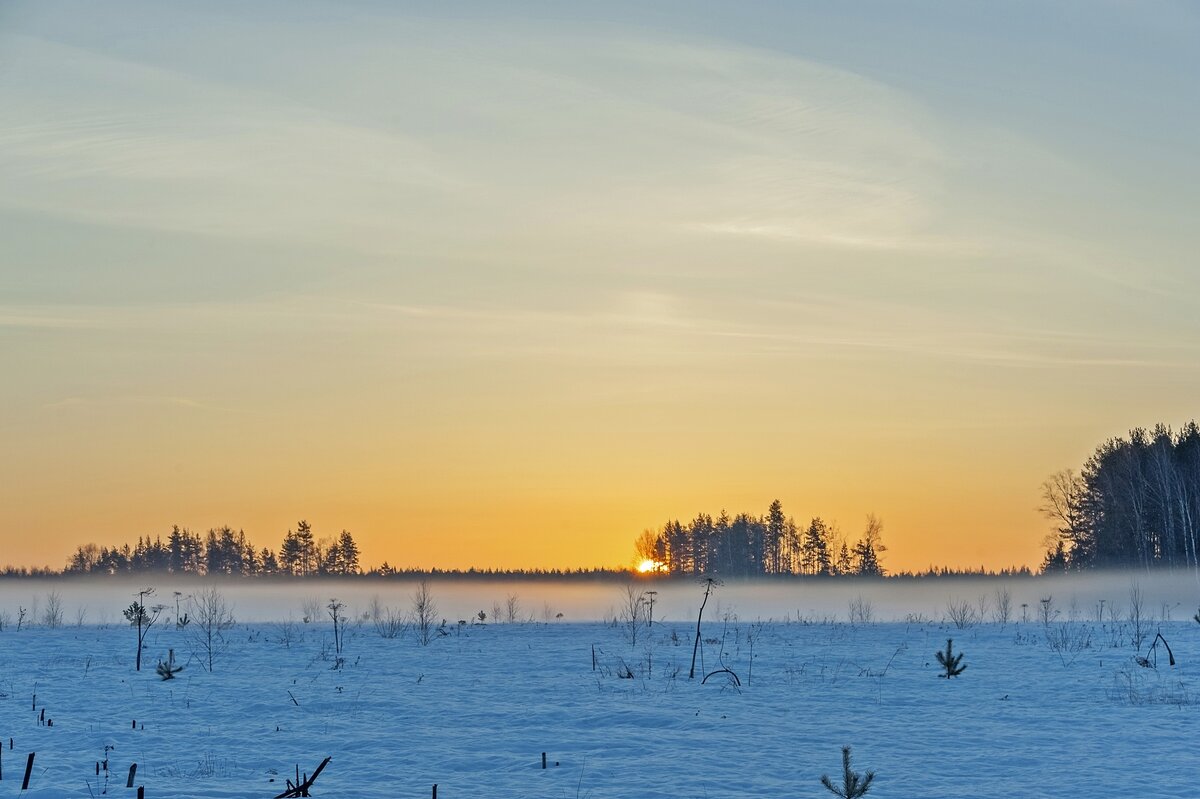 Апрельское утро - Валерий Иванович