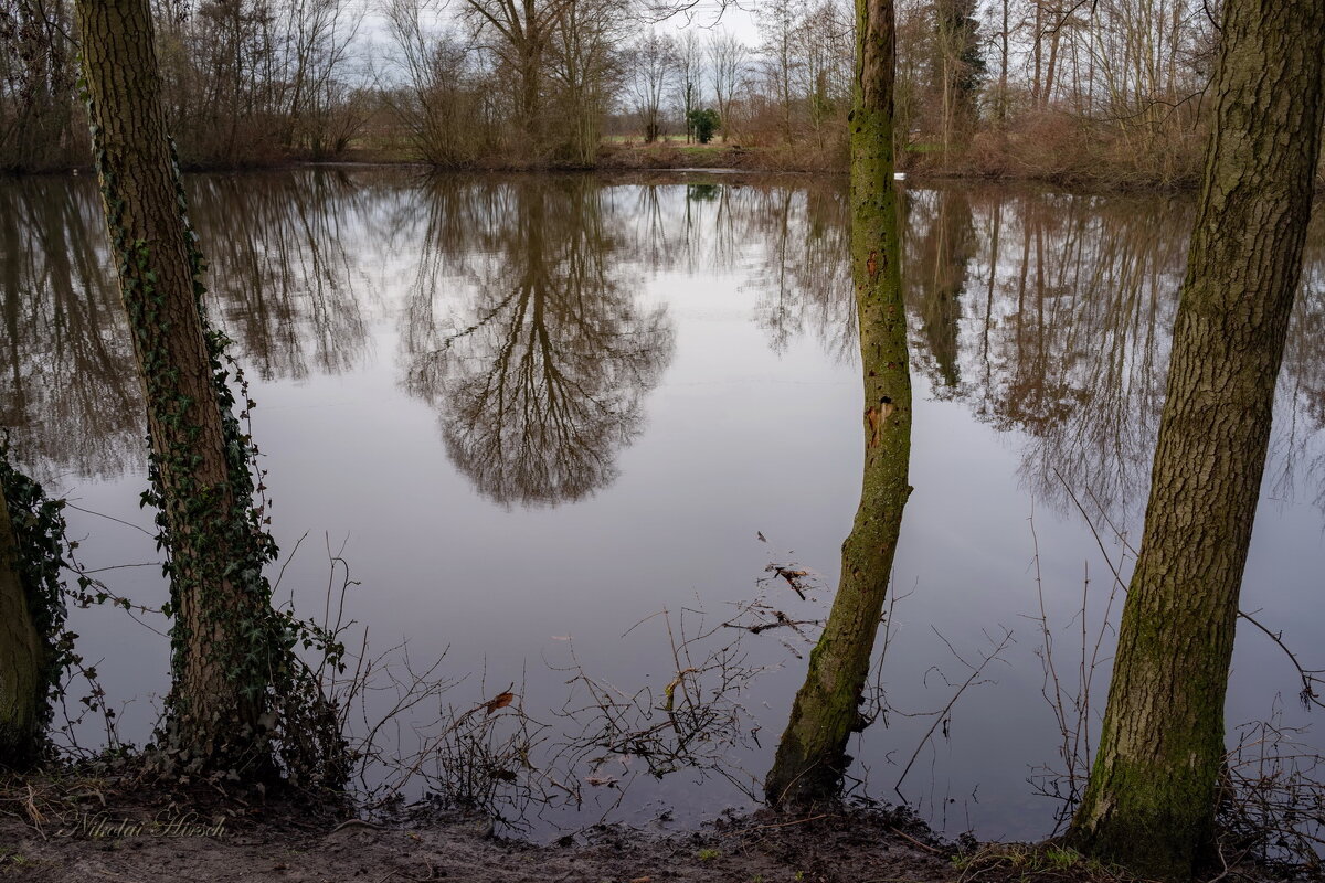На загородном пруду... - Николай Гирш На загородном пруду... - Николай Гирш