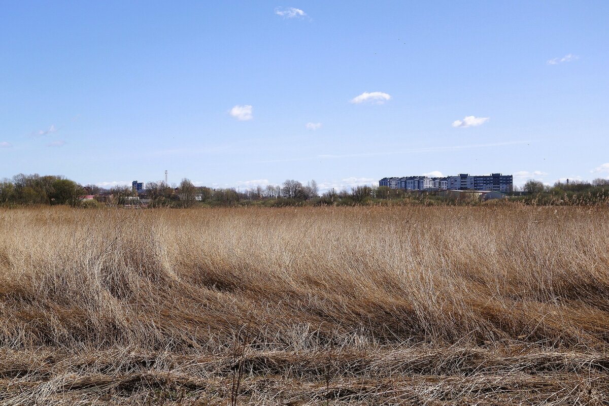 Городские окраины - Рита Симонова Городские окраины - Рита Симонова