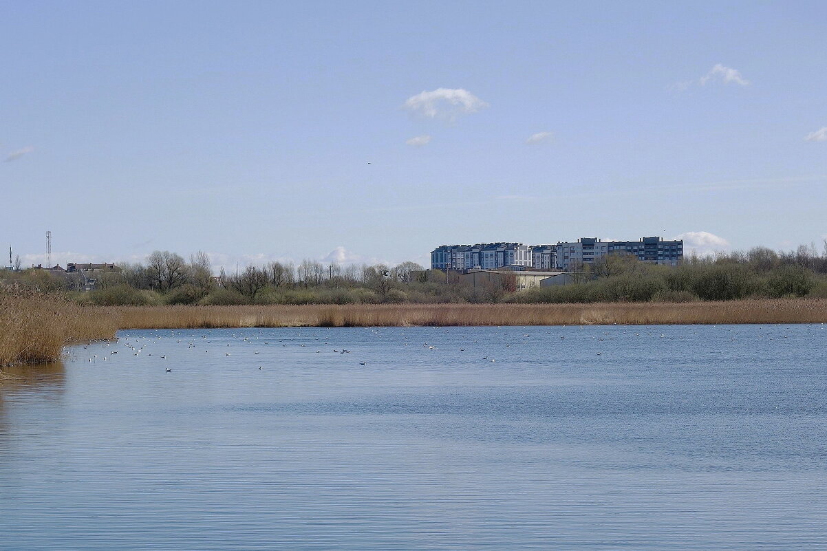 Городские окраины - Рита Симонова Городские окраины - Рита Симонова