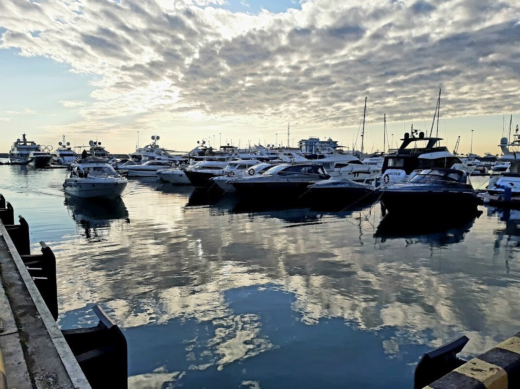 ПОРТ СОЧИ. АПРЕЛЬ 2025 - Tata Wolf