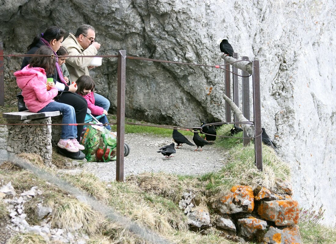 Разные люди, на Пилатус - ZNatasha -