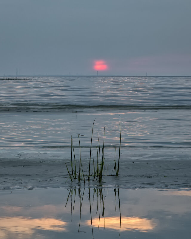 Закат - Владимир Колесников