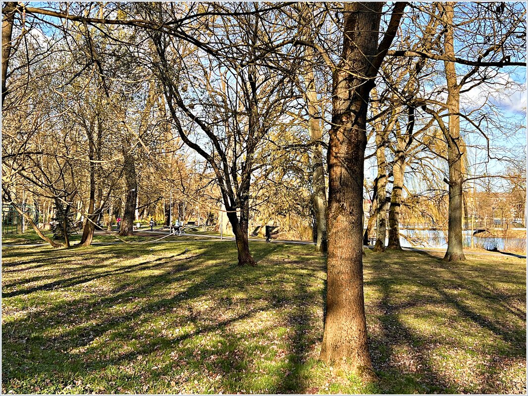 Весна в парке. - Валерия Комова Весна в парке. - Валерия Комова