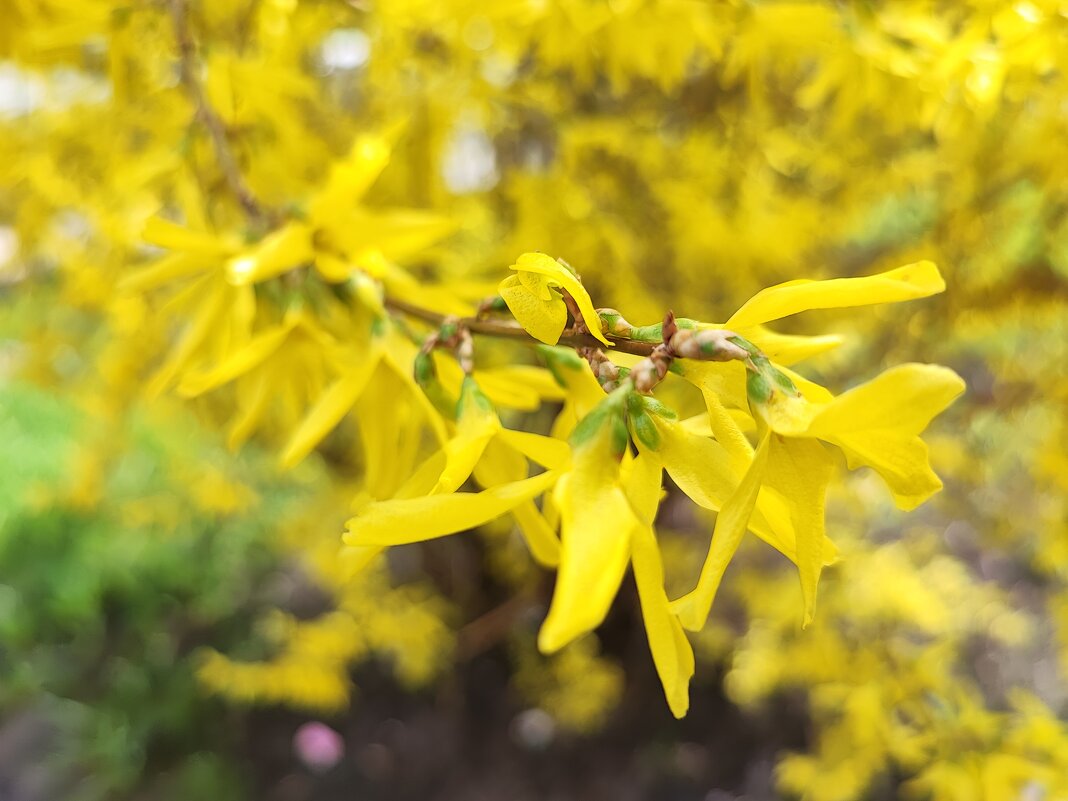 ,,, - Сергей Тимоновский ,,, - Сергей Тимоновский