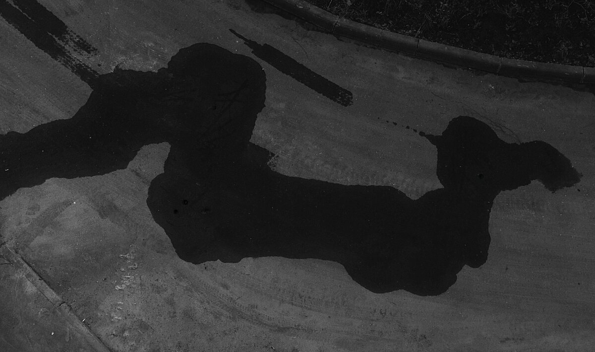 Размазали по асфальту,- только мокрое пятно осталось... - Василий Палий Размазали по асфальту,- только мокрое пятно осталось... - Василий Палий