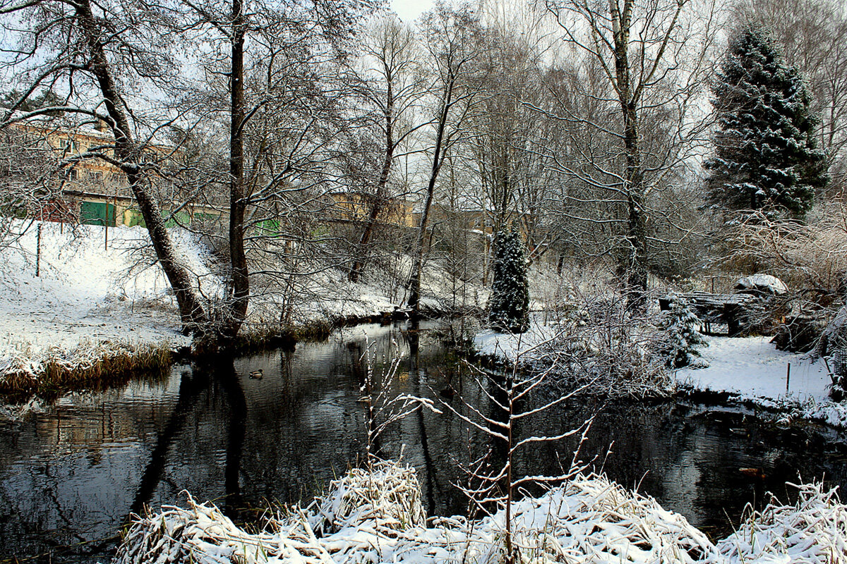 *** - Aleksandr Gal *** - Aleksandr Gal