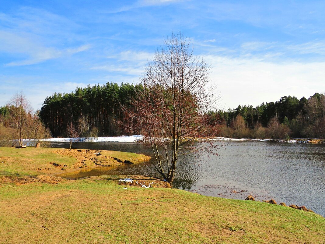 Оттаявший берег - Андрей Снегерёв Оттаявший берег - Андрей Снегерёв