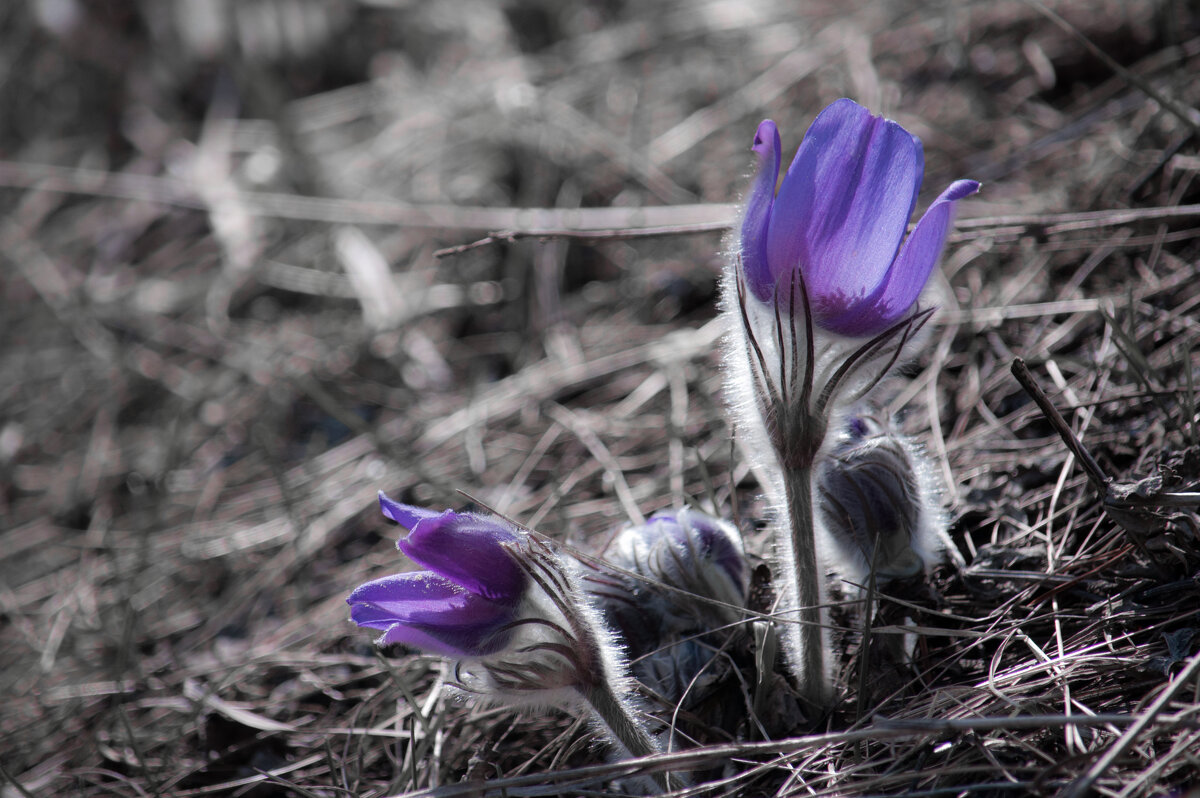 ... - Владимир Новиков