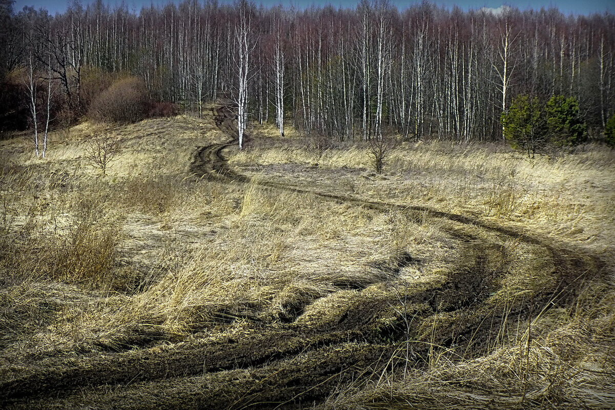 Эх дороги вы дороги... - Владимир Шошин