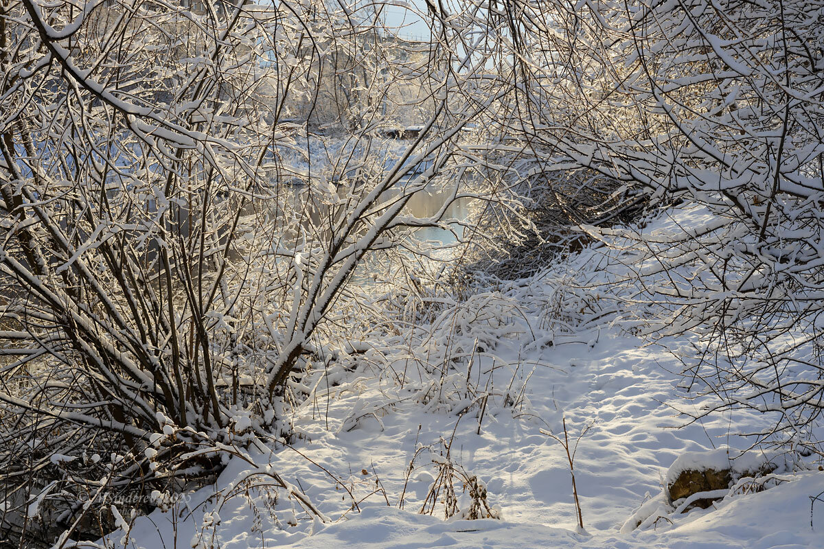 Зимний берег реки - Александр Синдерёв