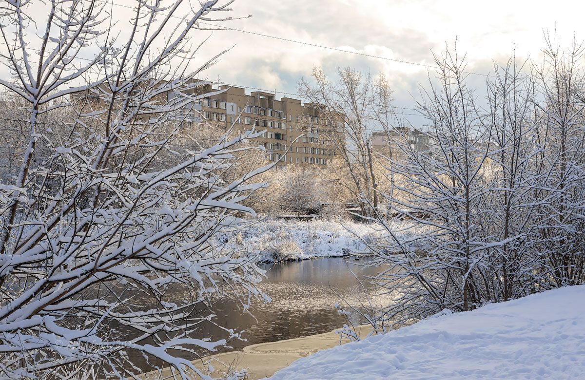 Природа зимы на городской реке - Александр Синдерёв