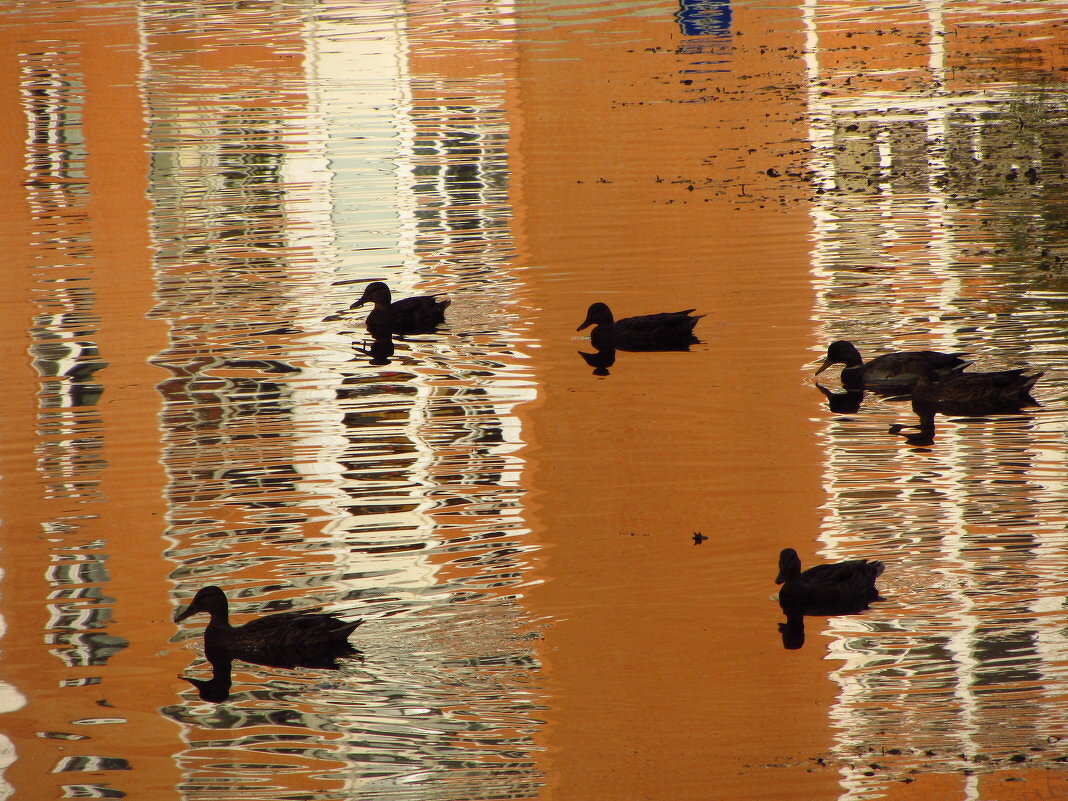 Когда есть, что вспомнить - Андрей Лукьянов