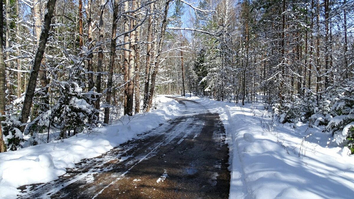 Это не зима, это апрель. - Милешкин Владимир Алексеевич 