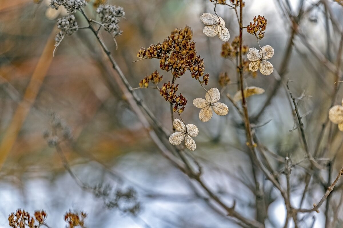 Апрельские - Валерий Иванович