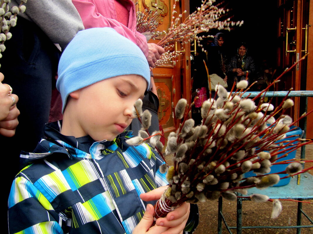 Вербное воскресенье - Татьяна Лютаева
