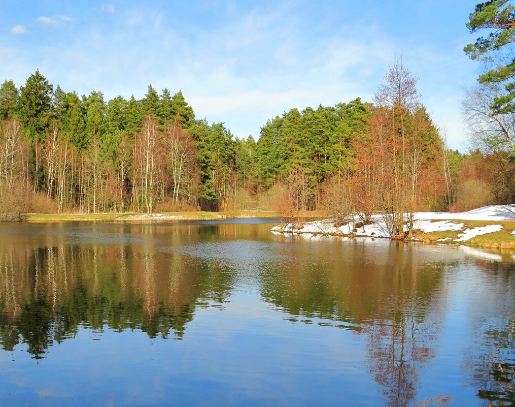Остатки снега - Андрей Снегерёв Остатки снега - Андрей Снегерёв