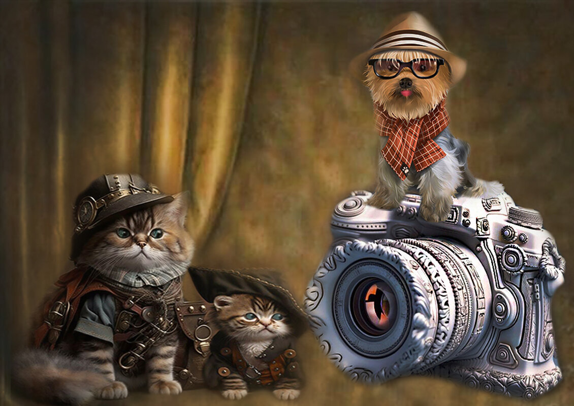 Папа, это пушка? Это фотоаппарат, сынок. - Е.М. *** Папа, это пушка? Это фотоаппарат, сынок. - Е.М. ***