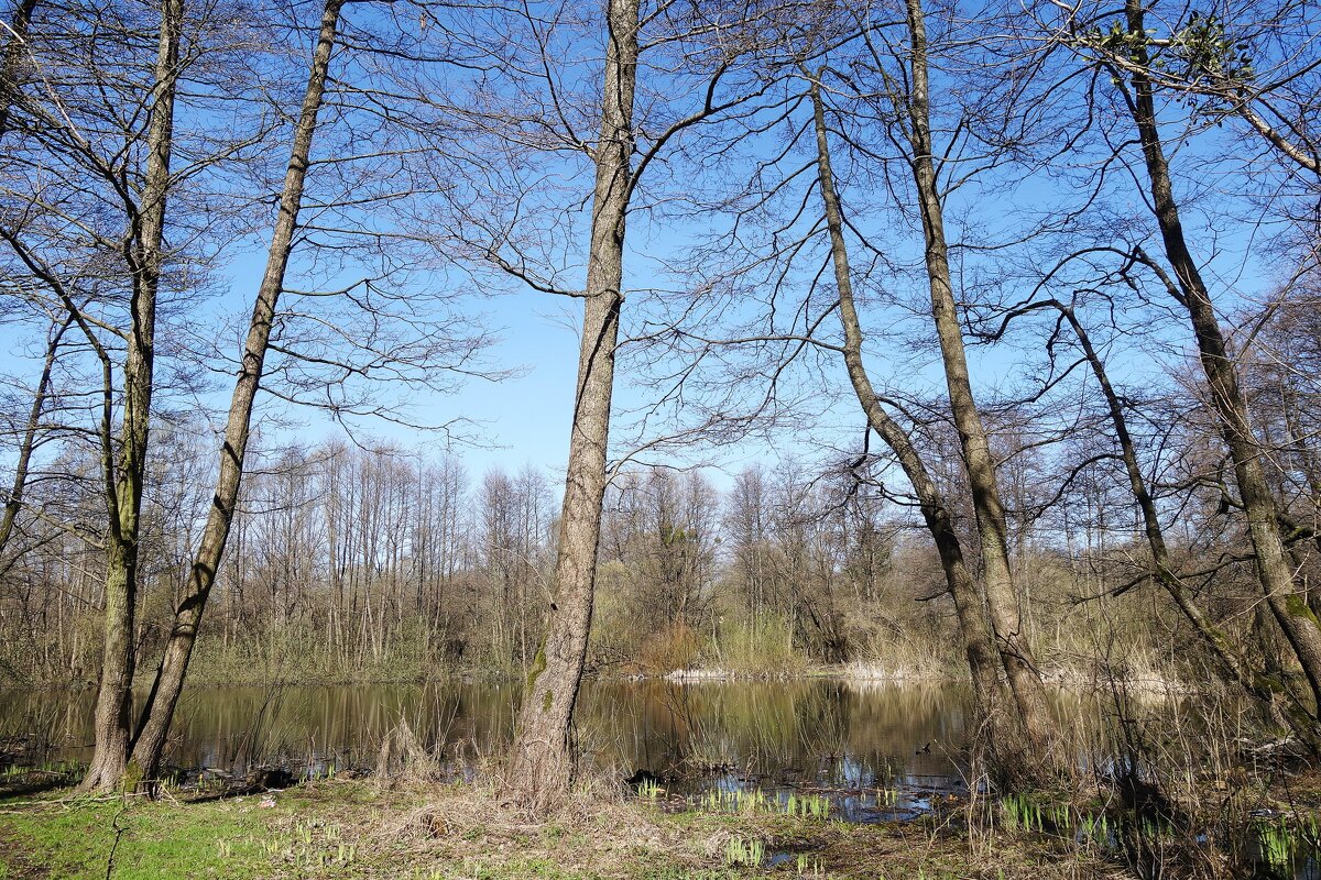 Апрель - Рита Симонова