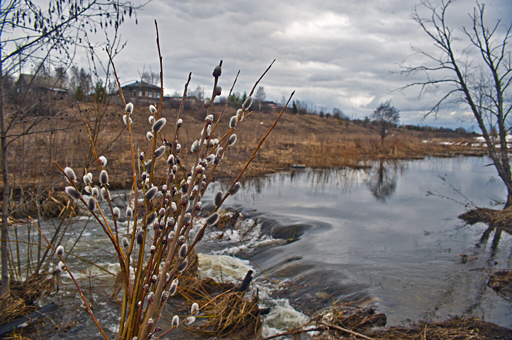 С праздником Вас. С Вербным воскресением - Владимир Хиль