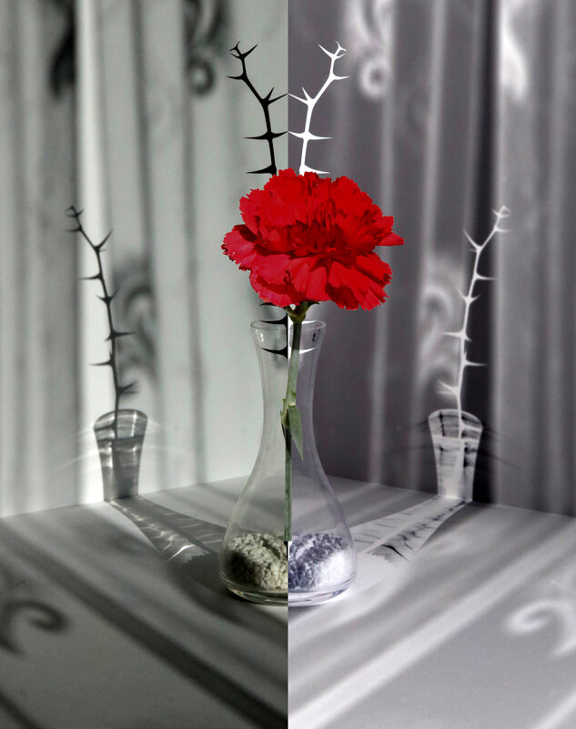 Зеркальные отражения зла и добра. - Ivan VIKAR Зеркальные отражения зла и добра. - Ivan VIKAR