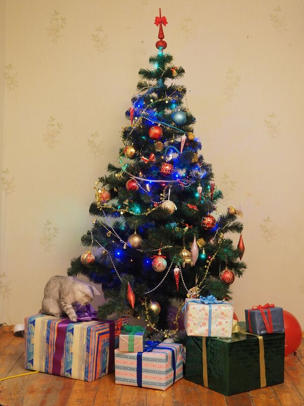 Новогодняя ёлка - Foto Man