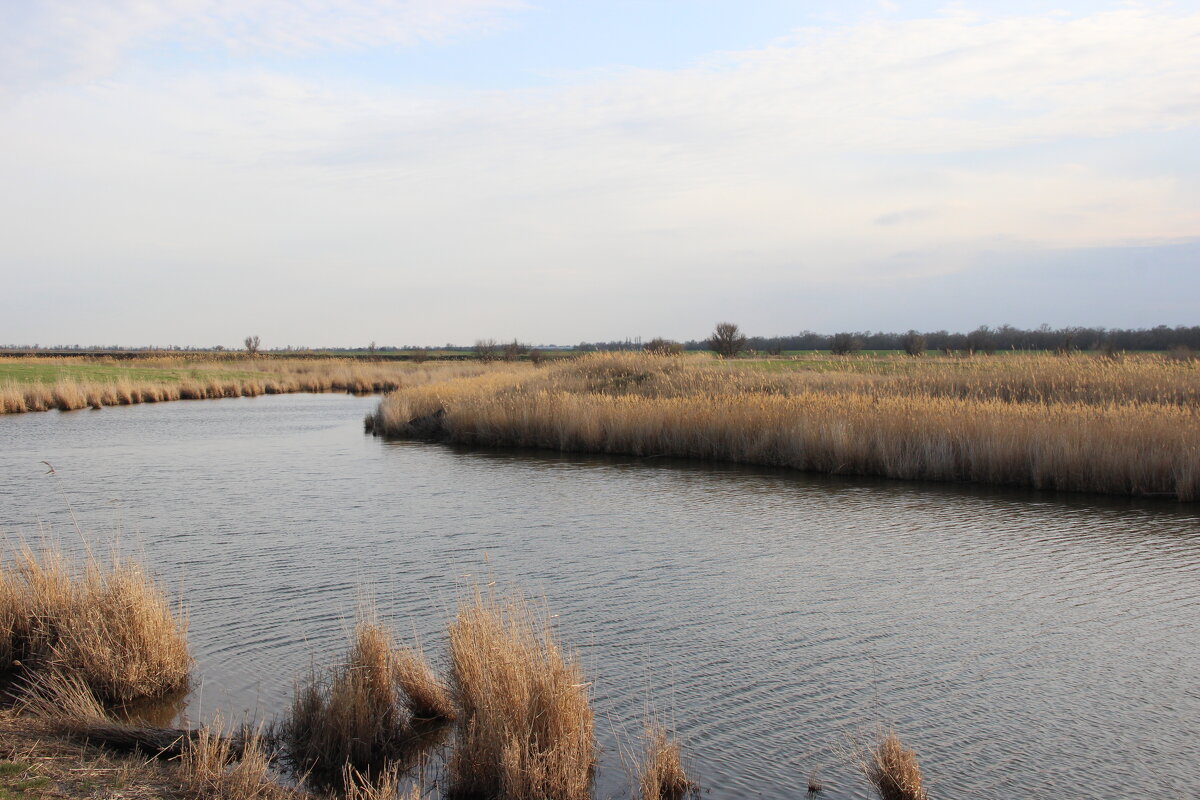 Местная река. - Виктор 
