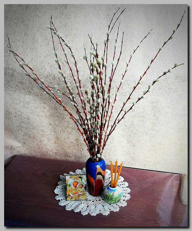 Верба в доме. - Ольга Довженко