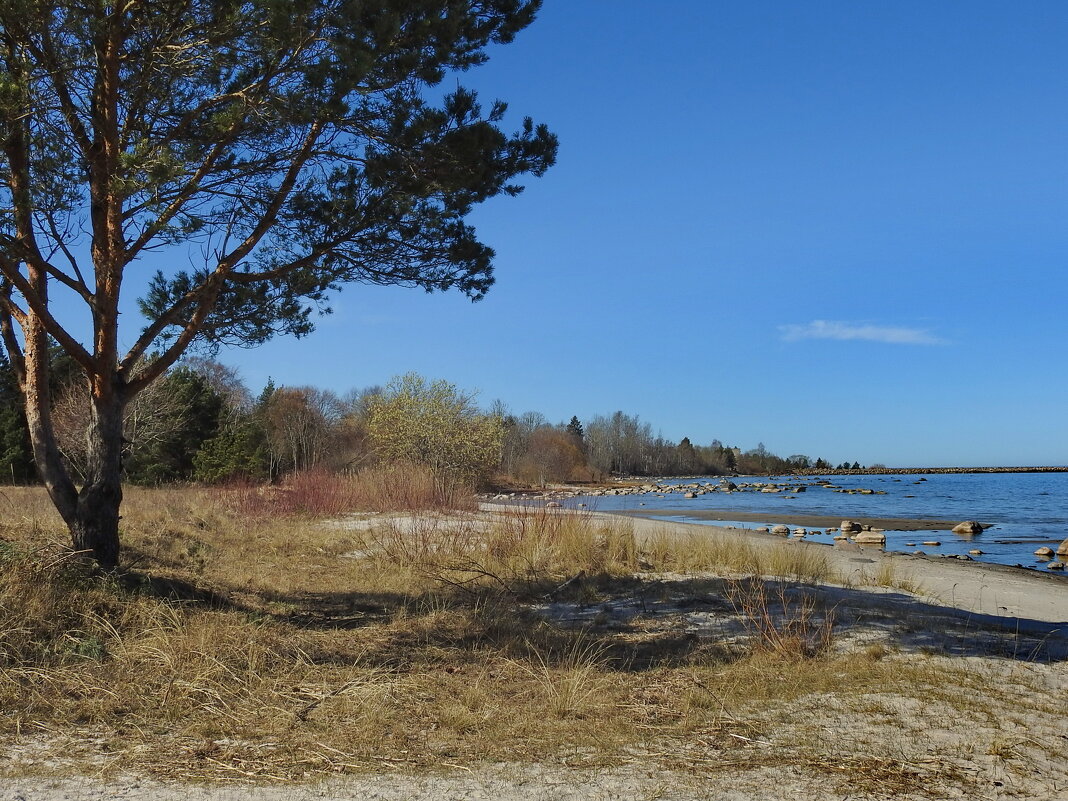 весна - ИННА ПОРОХОВА