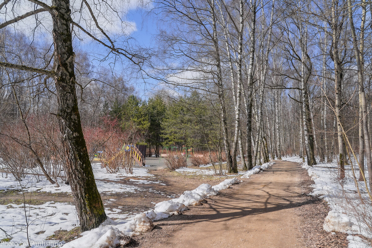 В весеннем парке... - Владимир Жданов В весеннем парке... - Владимир Жданов