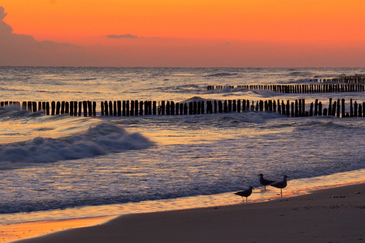 В ожидание солнца - Юрий. Шмаков