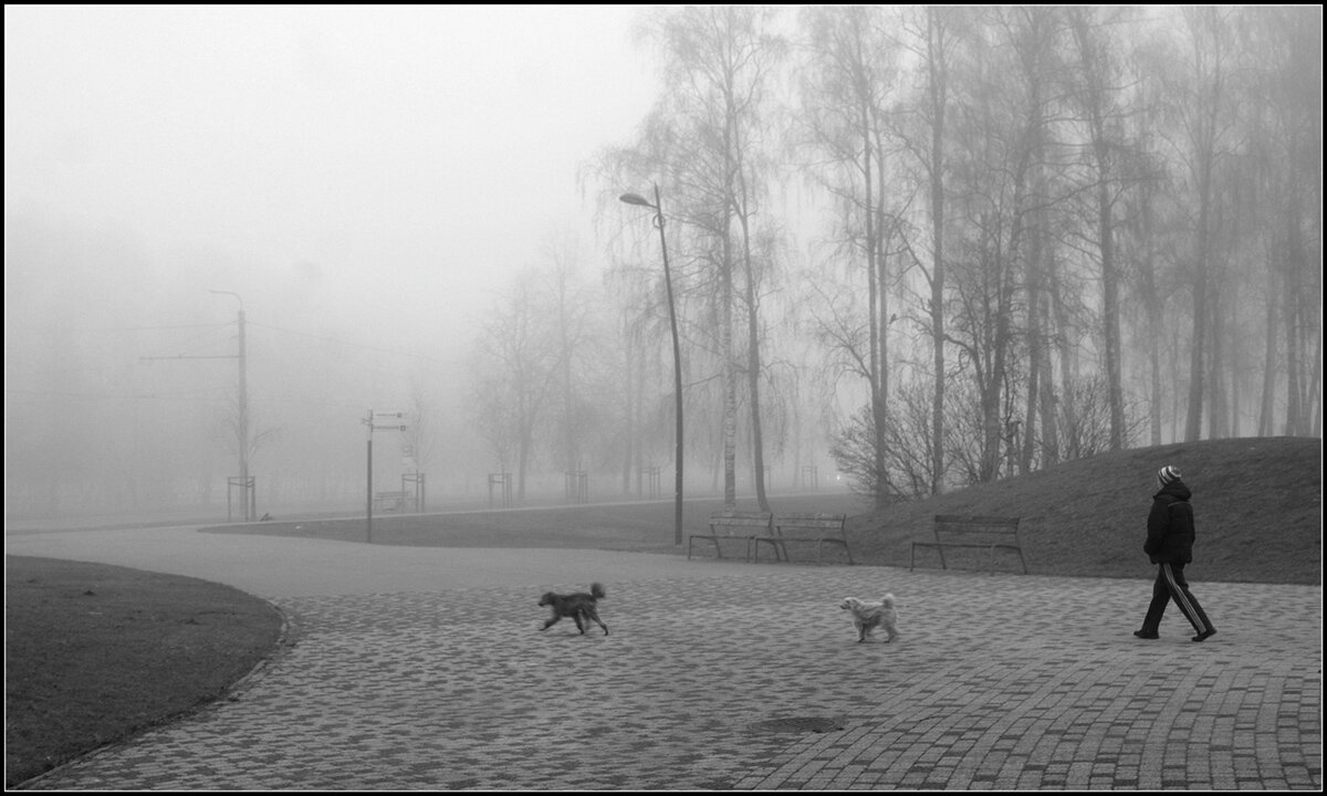 В любую погоду !! - Aleksandr Gal