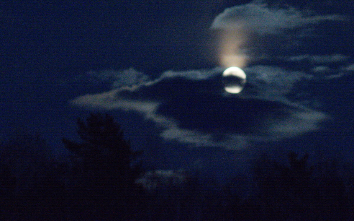 Попытка своровать Луну. - Михаил Полыгалов Попытка своровать Луну. - Михаил Полыгалов