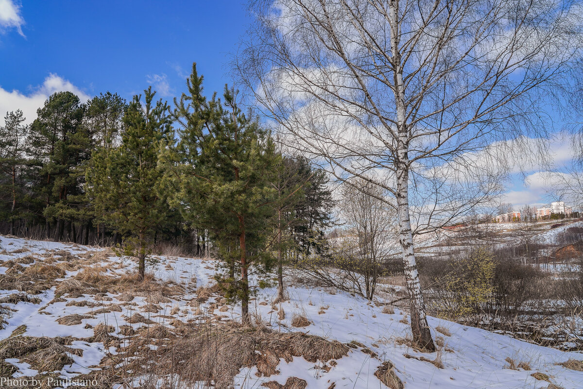 Палитра апреля... - Владимир Жданов