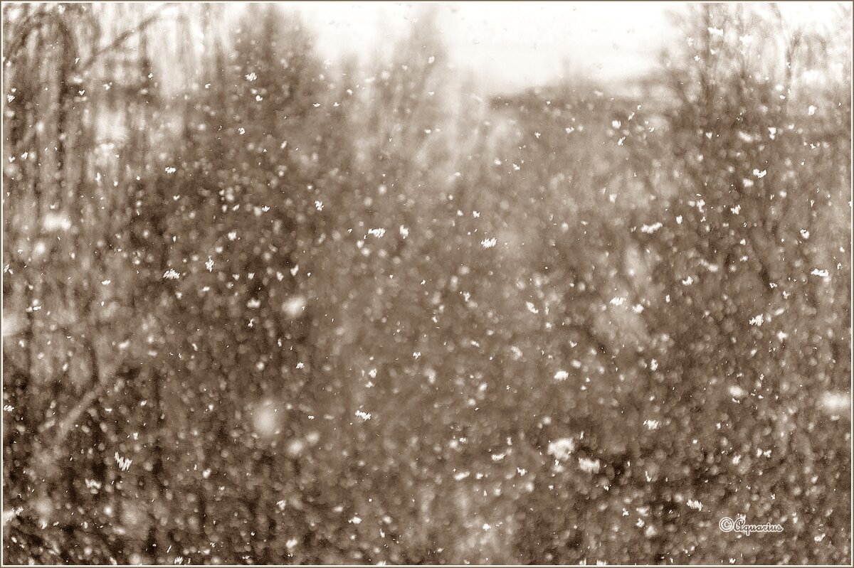 Прошлогодний снег... - Aquarius - Сергей Прошлогодний снег... - Aquarius - Сергей