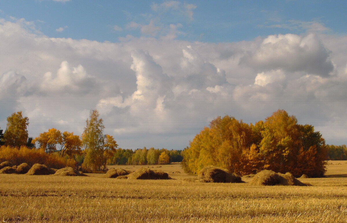 Осени картина. - nadyasilyuk Вознюк Осени картина. - nadyasilyuk Вознюк