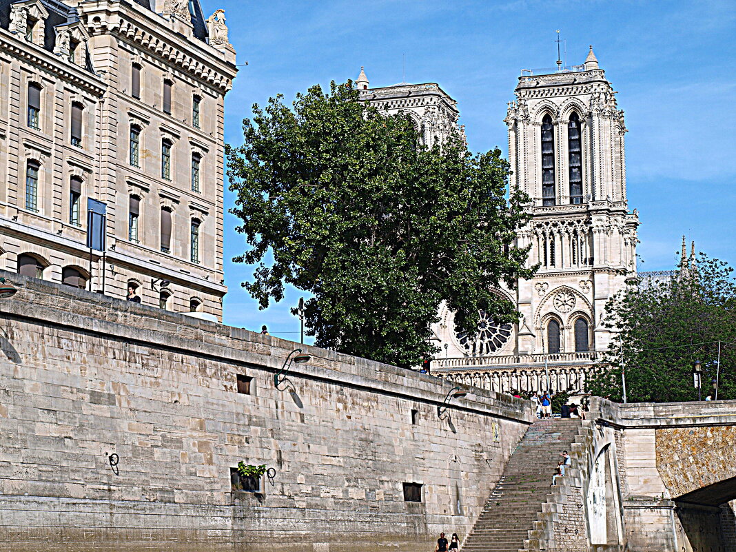 Париж. - Владимир Драгунский