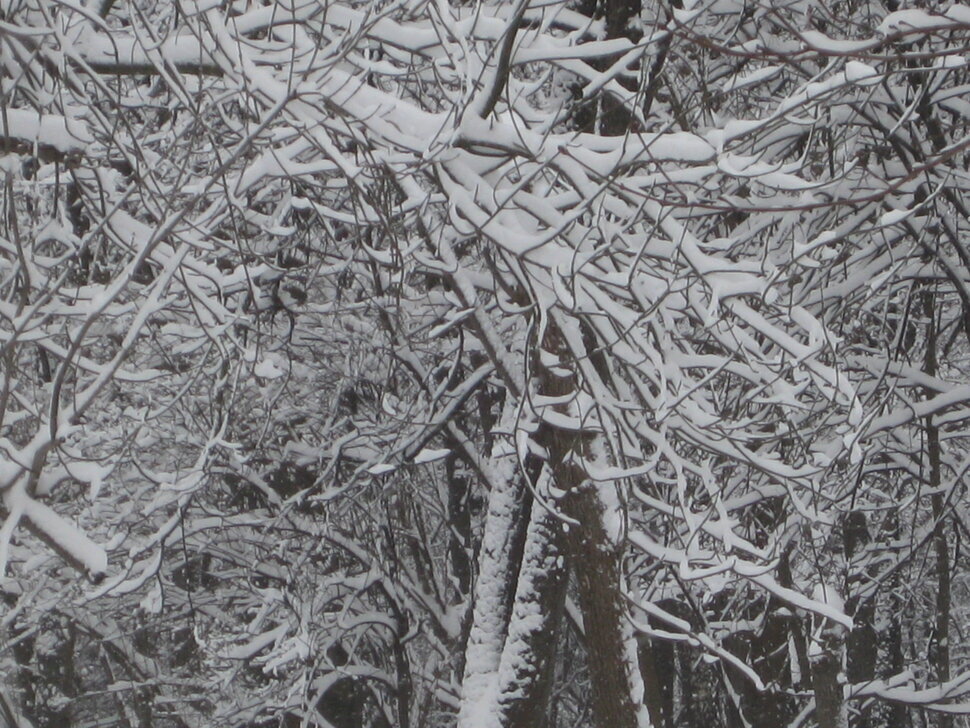 Зима в апреле. Год 2025 - Дмитрий Никитин Зима в апреле. Год 2025 - Дмитрий Никитин
