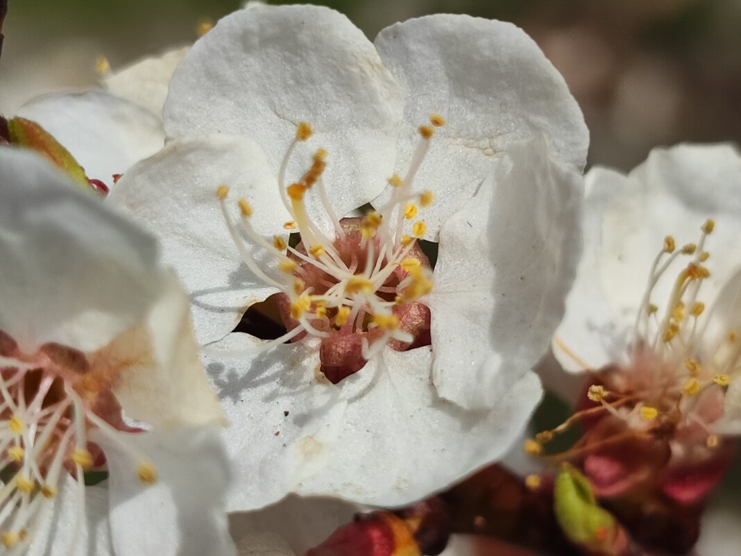 ... - Сергей Тимоновский