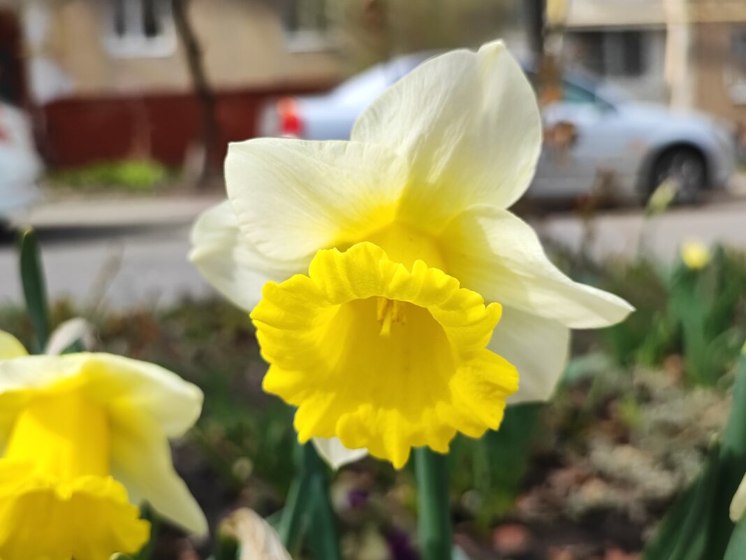 ... - Сергей Тимоновский ... - Сергей Тимоновский