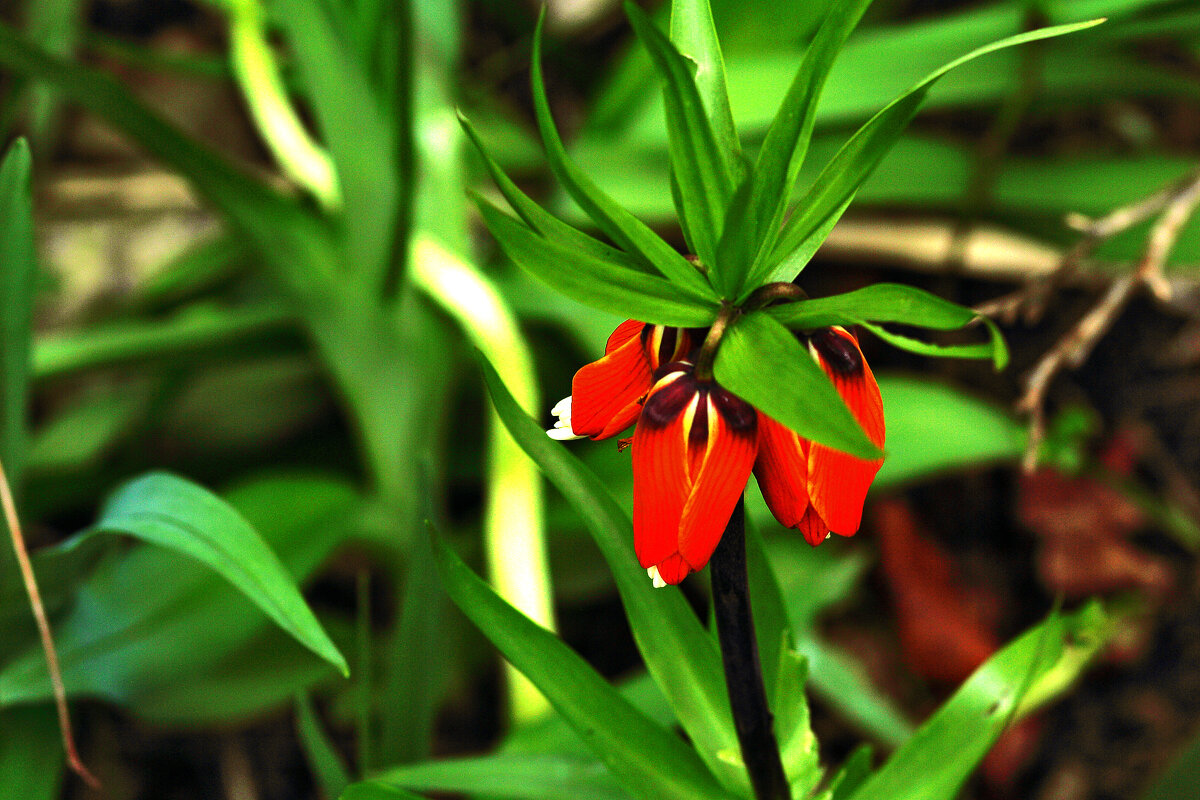 Разбитое сердце - Юрий Гайворонскiий Разбитое сердце - Юрий Гайворонскiий
