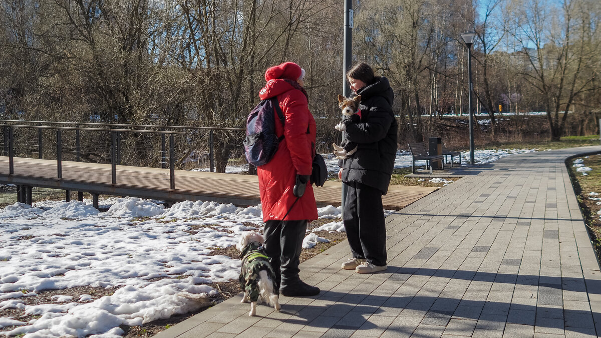 Весенние - юрий поляков