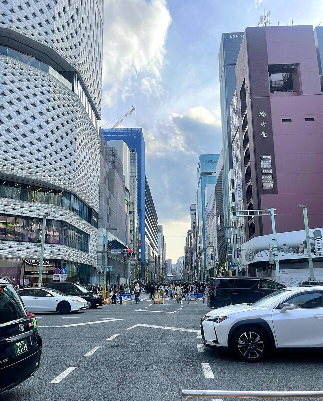 Улицы Токио - Елена 