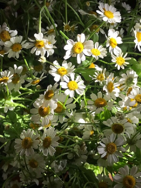 А лето будет обязательно!! - Татьяна Юрасова