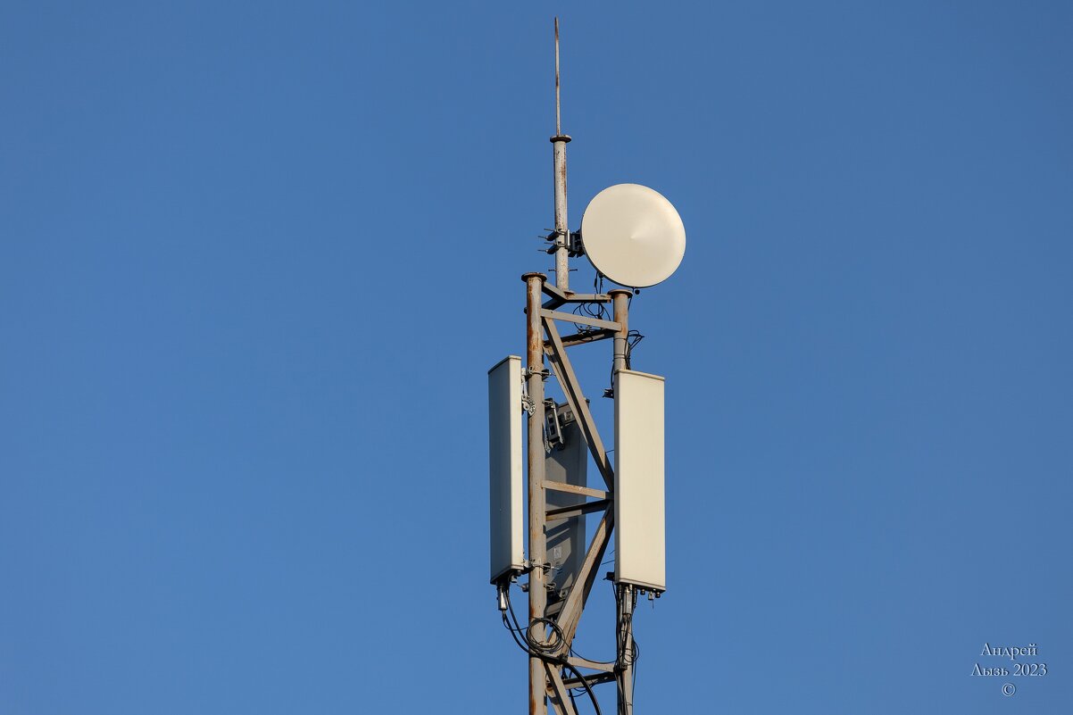 Тест Canon EF 100-400 - Андрей Lyz