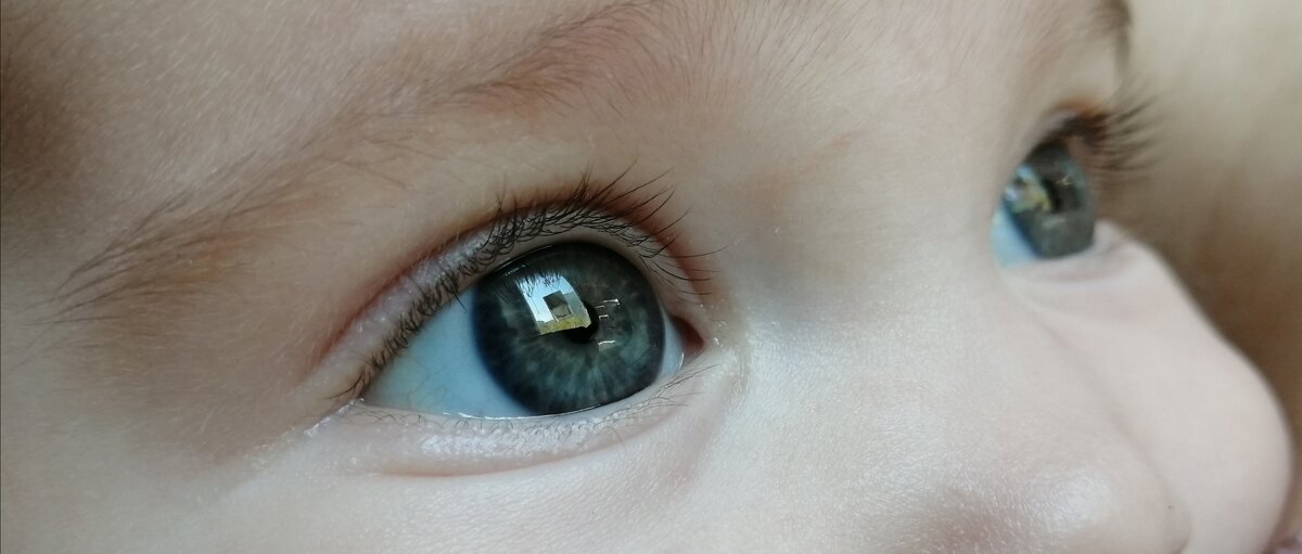 Глаза Доченьки... - Дмитрий Петренко Глаза Доченьки... - Дмитрий Петренко