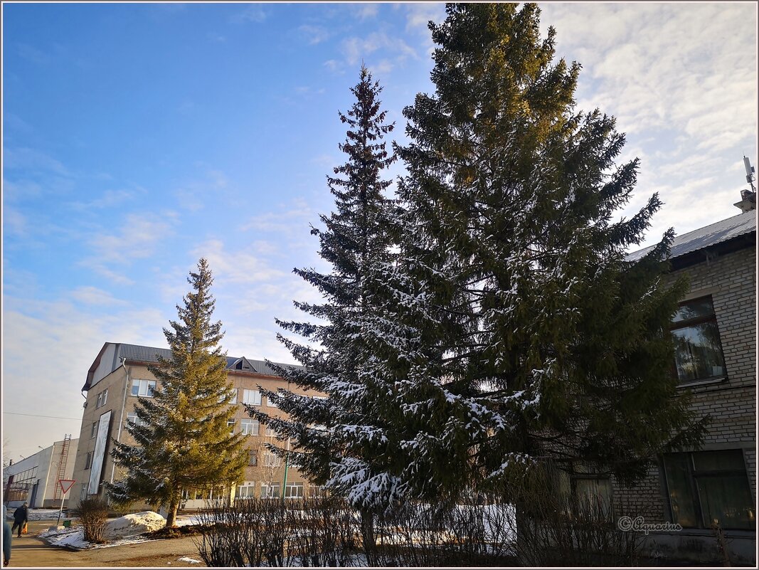 Апрельское утро - Aquarius - Сергей Апрельское утро - Aquarius - Сергей