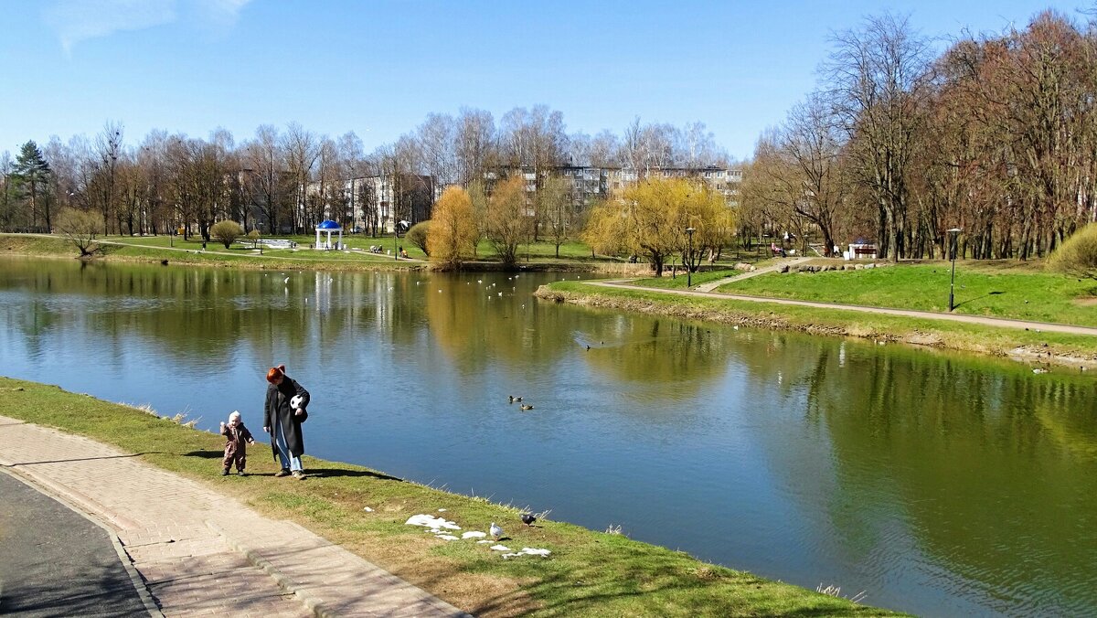 Весна вернулась после снегопадов. - Милешкин Владимир Алексеевич 