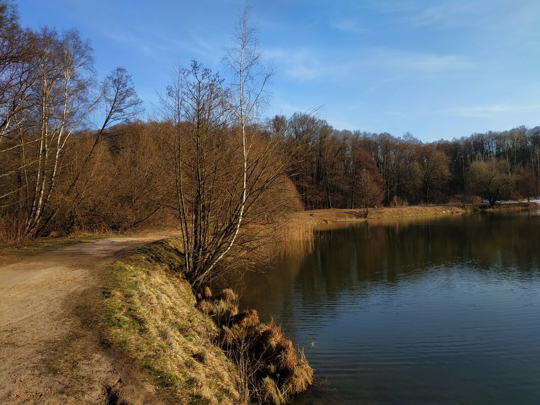 Любимый пруд в апреле - Андрей Лукьянов Любимый пруд в апреле - Андрей Лукьянов