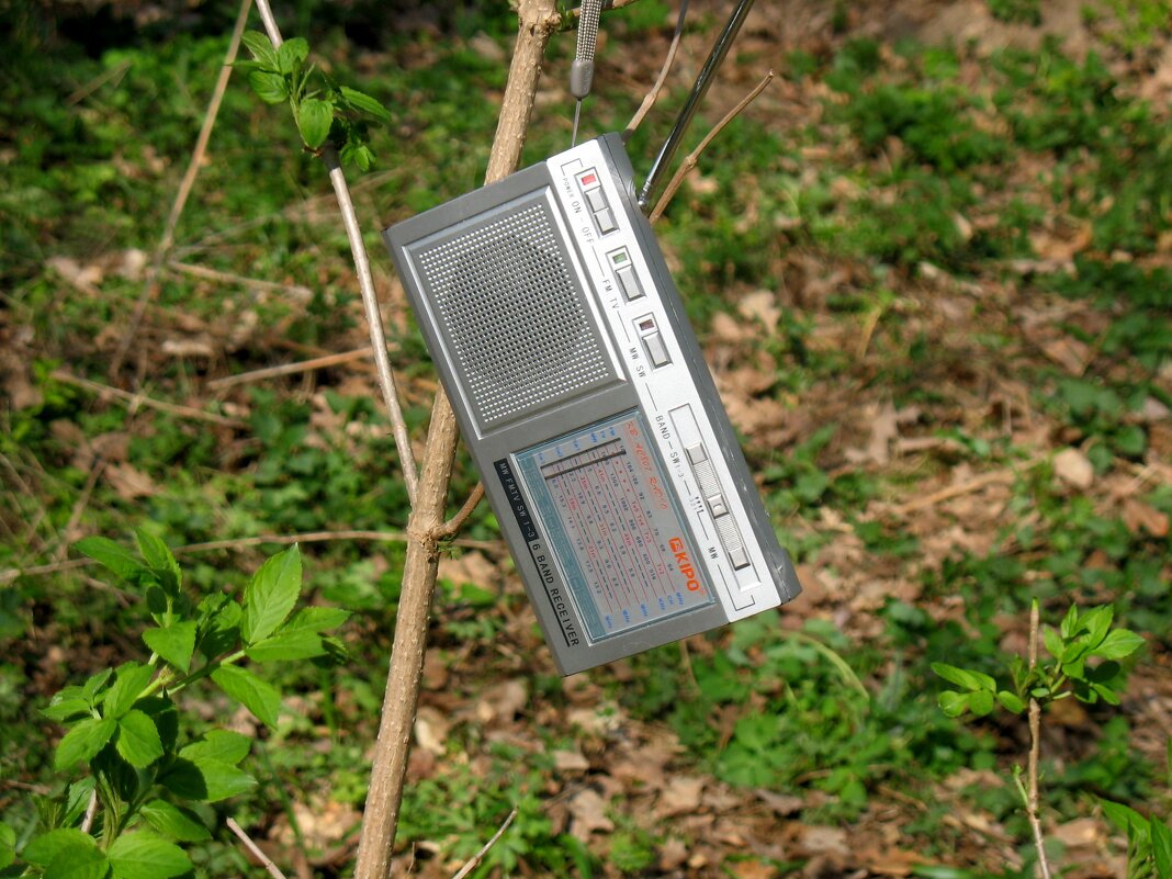 Весна в лесу - Андрей Л. В. Весна в лесу - Андрей Л. В.